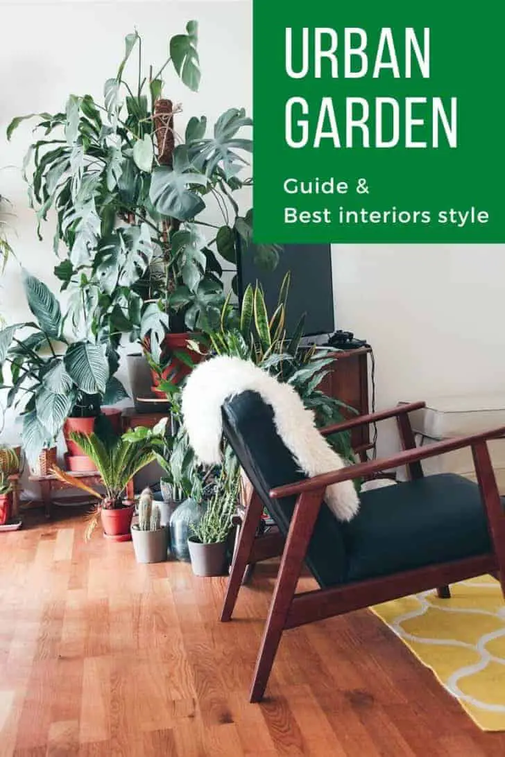 Best Urban Jungle Interior Style Ideas